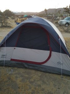 15747739_10154254668381235_5057788666715497902_n